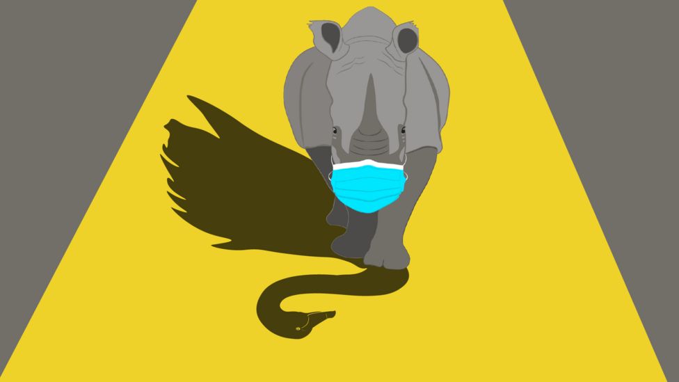 image of a gray rhino wearing a surgical mask with a black swan in its shadow