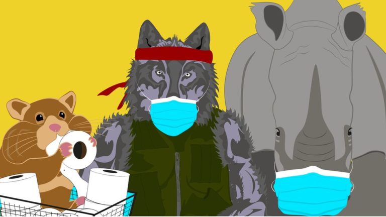 Cartoon drawing of Hamster, Wolf and Rhino wearing surgical masks