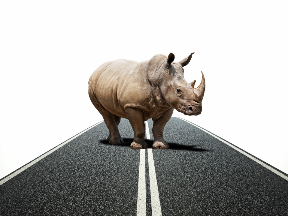 The Top Gray Rhino Risks of 2020