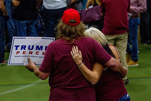 Trump Victory: Gray Rhino, Black Swan… or Neither?