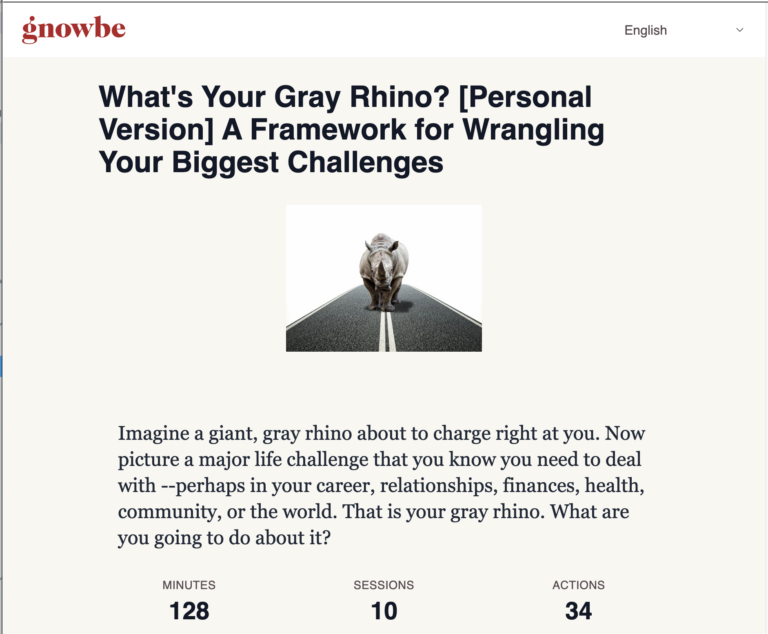 Rhino in the center of a road facing viewer head-on with text: What's Your Gray Rhino [Personal Version] A Framework for Wrangling Your Biggest Challenges