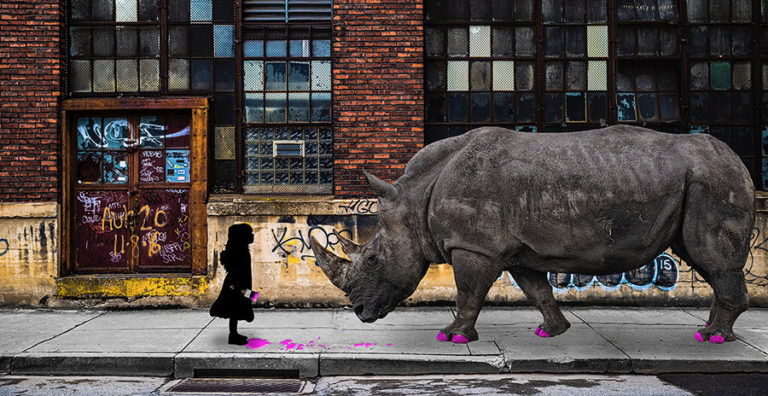 Image of a little girl in silhouette with a paintbrush facing a rhino with fuchsia toenails in front of a graffiti covered building