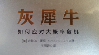 Who’s Talking about the Gray Rhino in China?